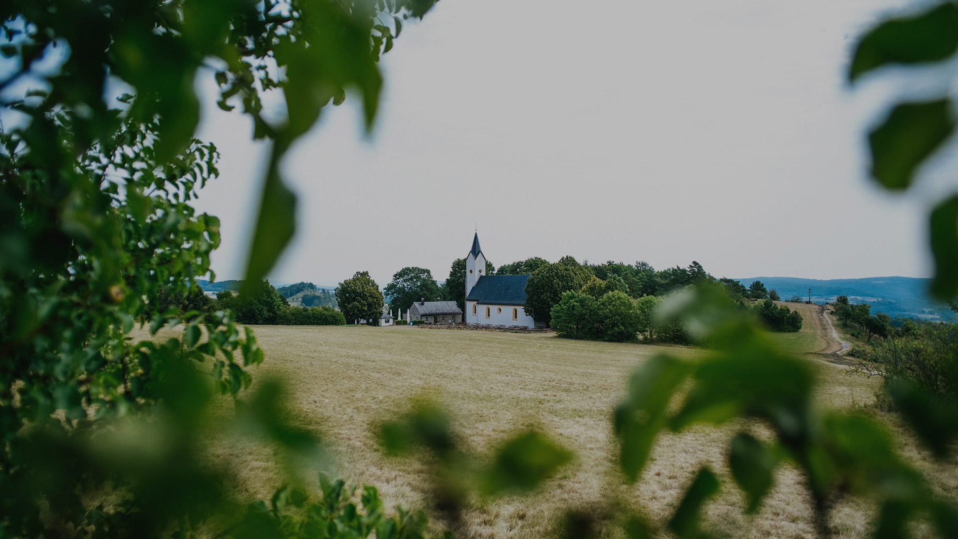 A church on a field.